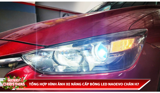 TỔNG HỢP HÌNH ẢNH XE NÂNG CẤP BÓNG LED NAOEVO CHÂN H7